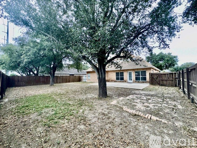 A backyard with a tree and a house in the background.