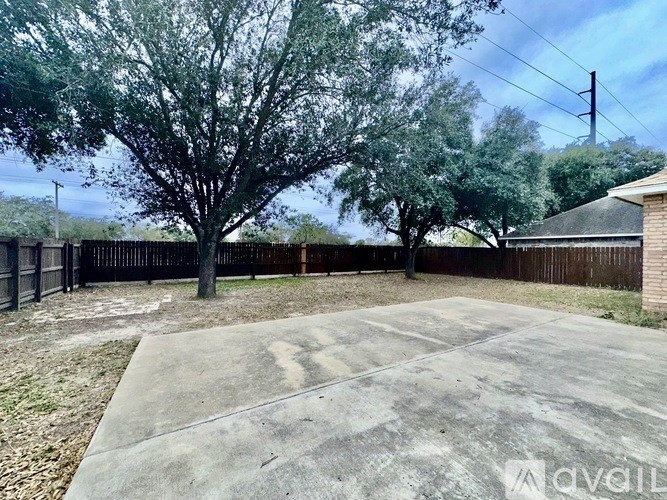 A backyard with a concrete slab and a tree.