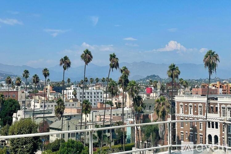 Palm trees and buildings in a cityscape.