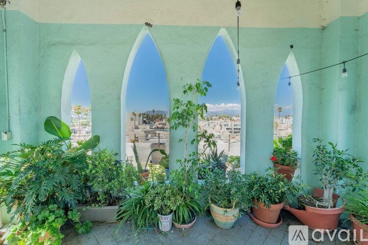 A balcony with green plants and three arched windows.