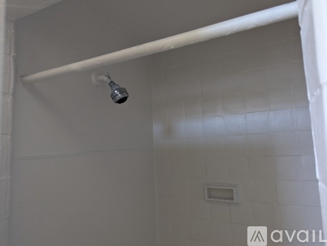 A patio with green plants and a white wall.