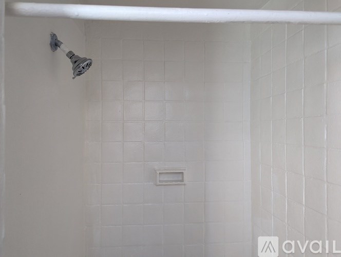 A white tiled shower with a shower head and a drain.