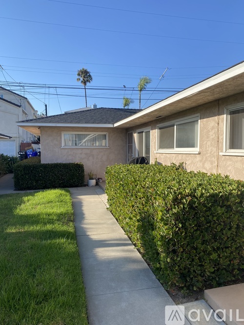 A palm tree stands in front of a house with a lawn and a patio.