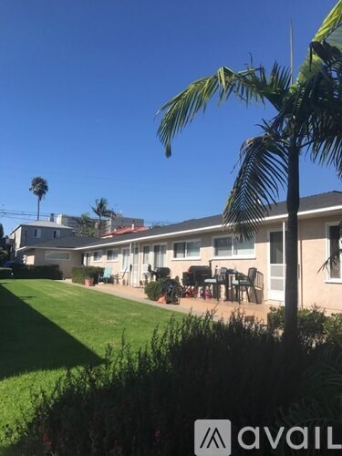 A palm tree stands in front of a house with a lawn and a patio.