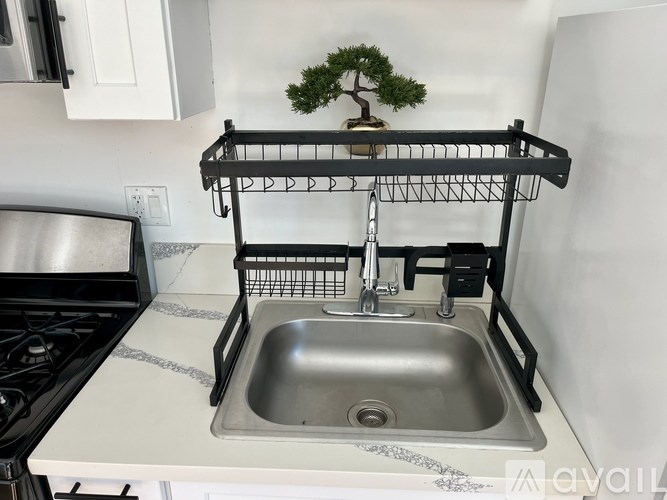 A kitchen sink with a bamboo tree on top of a shelf above it.