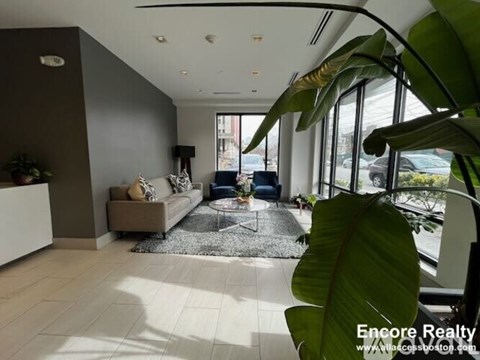 A living room with a couch, a coffee table, and a large plant.