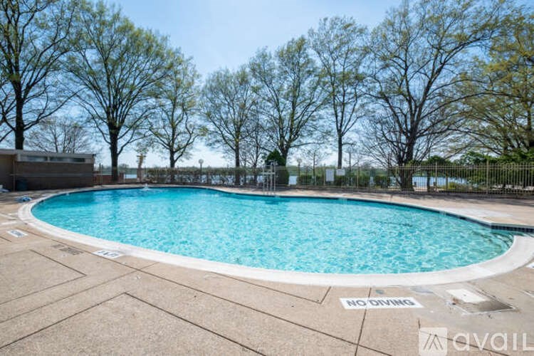 A pool surrounded by trees and a "No Diving" sign.