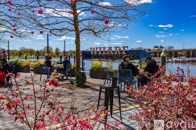A group of people are sitting at tables under a tree with pink flowers.
