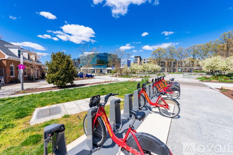 A row of red bikes are parked on a sidewalk.