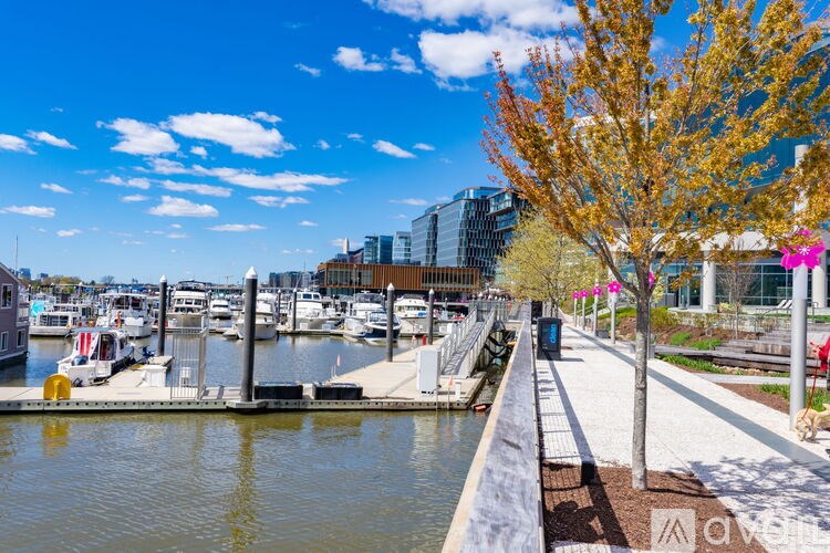 A tree with yellow leaves stands on a sidewalk next to a body of water.