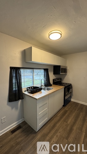 A kitchen with a sink and a window.