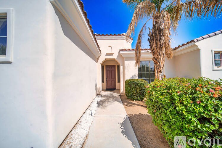 A white house with a brown door and a palm tree in front.