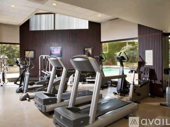 A gym with treadmills and elliptical machines.