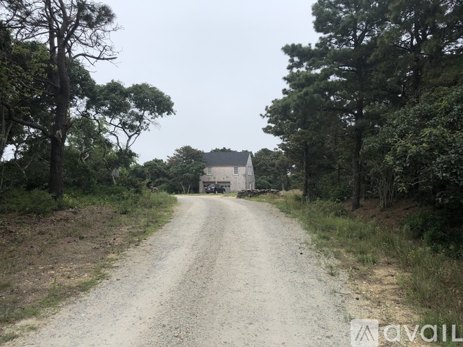 A gravel road leads to a house surrounded by trees.