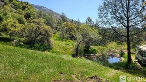 A tree stands in a field with a mountain in the background.