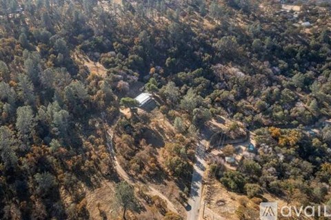 A house is surrounded by trees in a wooded area.
