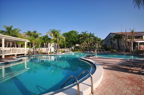 Apartments For Rent Memorial Highway Tampa Fl Apartments For Rent Memorial Highway Tampa Fl