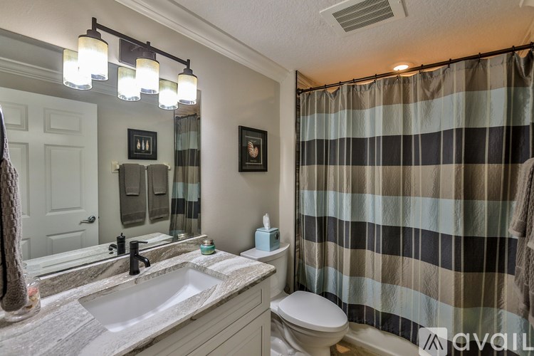 A bathroom with a checkered shower curtain and a toilet.