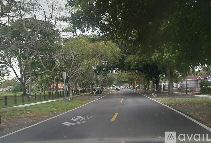 A bike lane is on the right side of a tree-lined street.