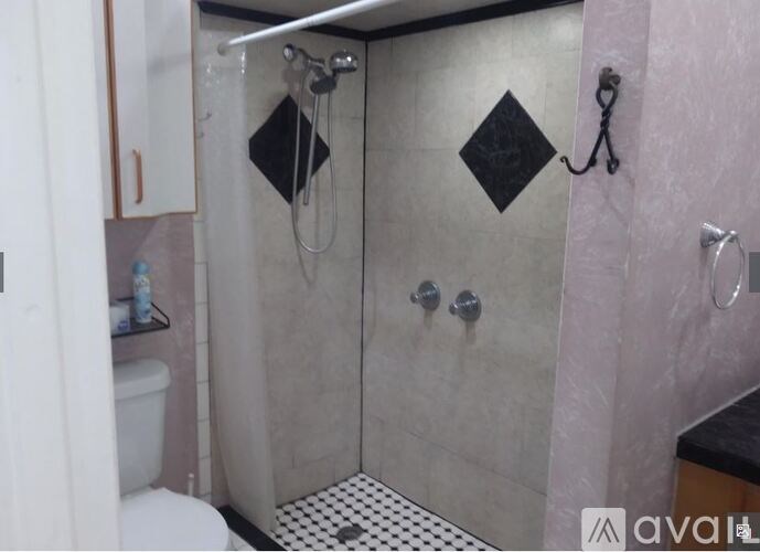 A bathroom with a shower and a toilet.