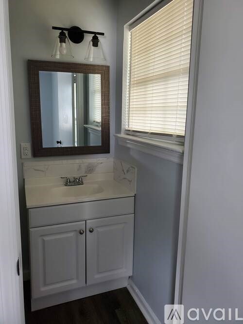 A bathroom with a white sink and a mirror above it.