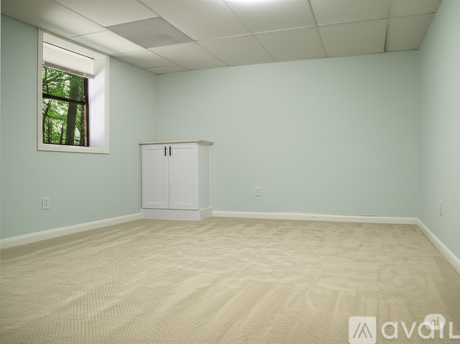 A room with a white cabinet and carpeted floor.