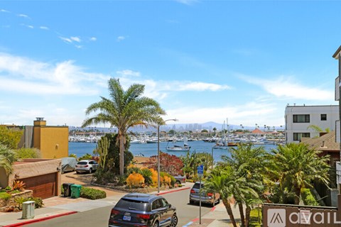 A view of a street with cars and palm trees.