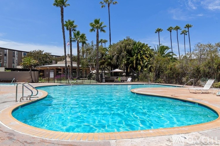 A swimming pool surrounded by palm trees and lounge chairs.