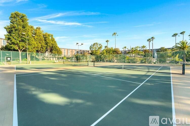 Tennis court with white lines and green trees in the background.