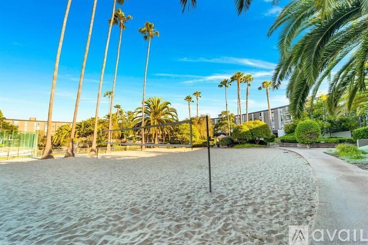 A sandy area with palm trees and a clear sky.