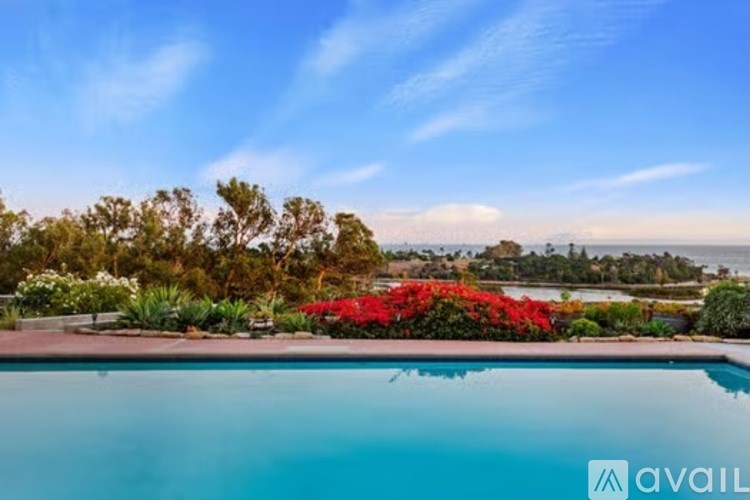 A pool surrounded by red flowers and trees under a blue sky.
