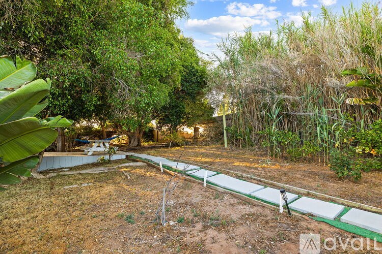 A backyard with a swing set and trees.