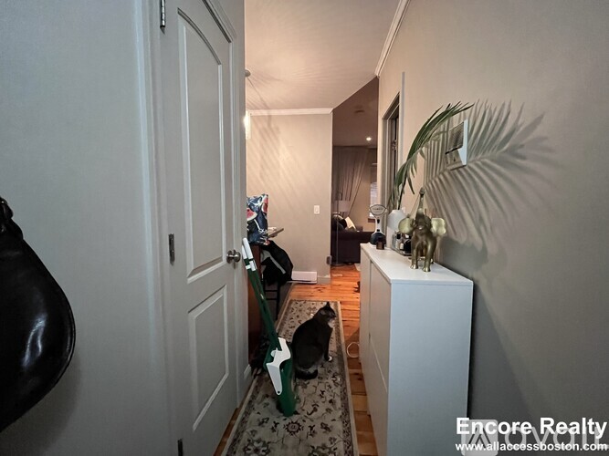 A white door is open to a room with a white cabinet and a green plant.