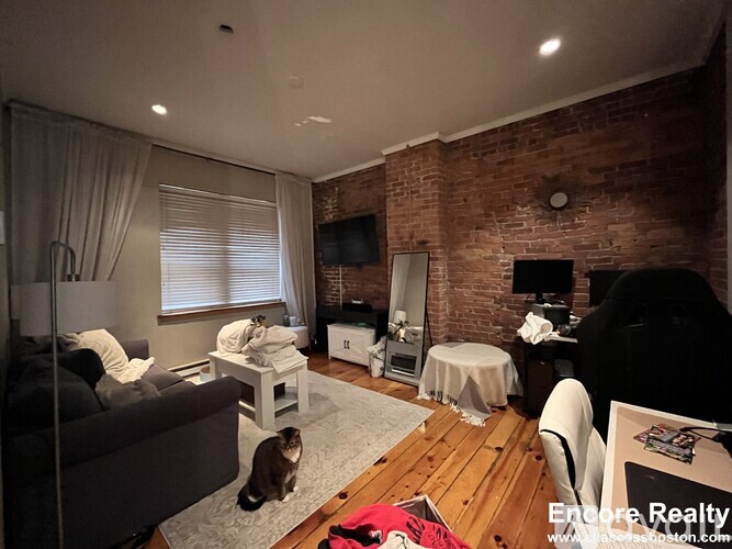 A cat is sitting on a rug in a living room with a brick wall.