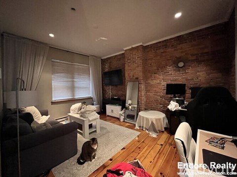 A cat is sitting on a rug in a living room with a brick wall.