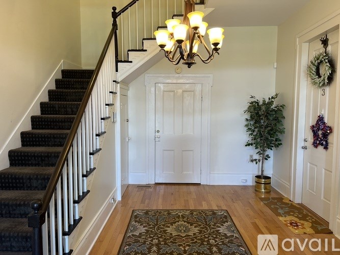 A hallway with a staircase, a door, and a plant.