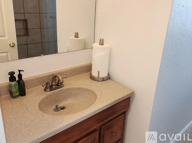 A bathroom sink with a mirror above it and a toilet paper roll on the counter.