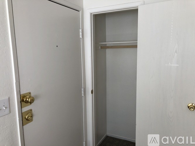 A white door with a gold handle is open to a white closet.