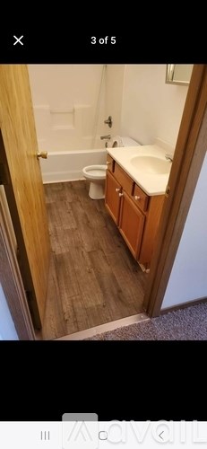 A bathroom with a toilet, sink, and wooden floors.
