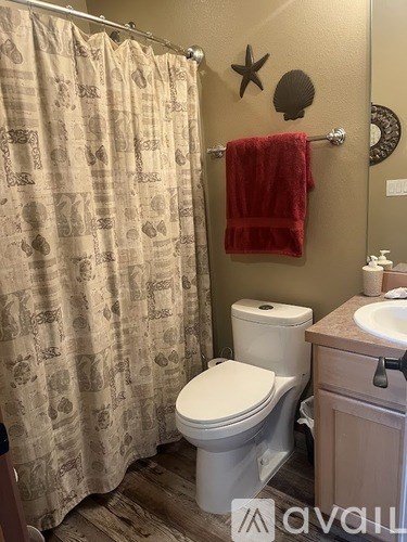 A bathroom with a toilet, sink, and shower curtain.
