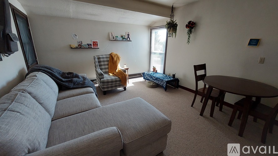 A living room with a grey couch, a chair, a table, and a hanging plant.