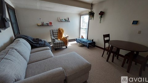 A living room with a grey couch, a chair, a table, and a hanging plant.