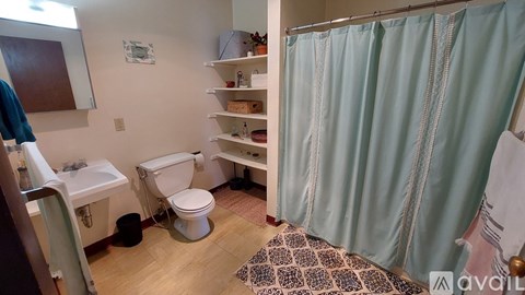 A bathroom with a toilet, sink, and shower curtain.