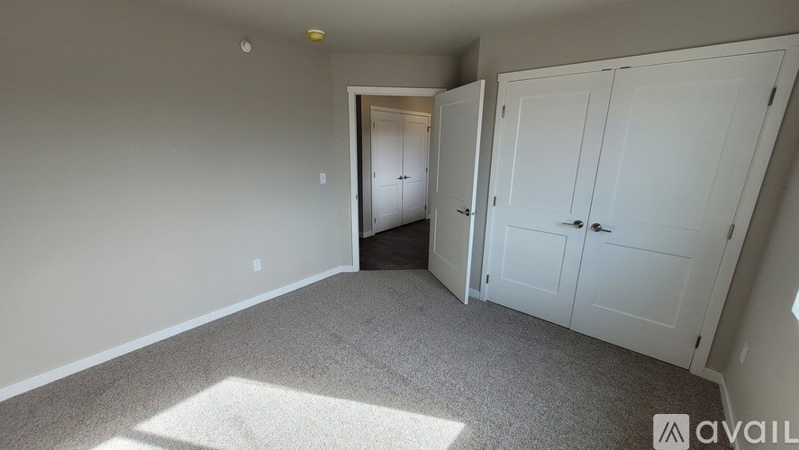 A room with a carpeted floor and two white doors.