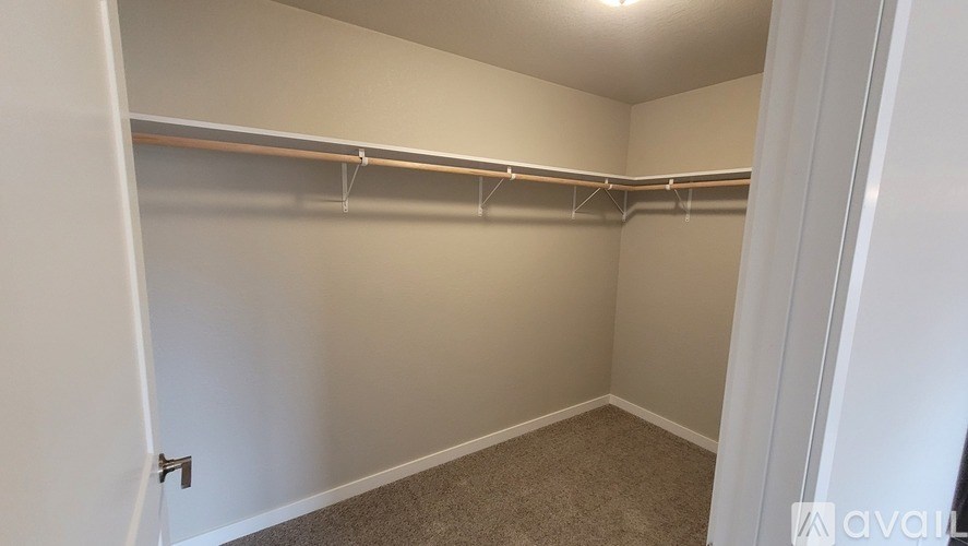A white closet with a carpeted floor and a white door.