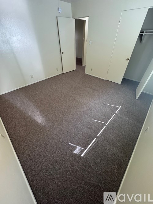 A room with a carpet that has a white line drawn on it.