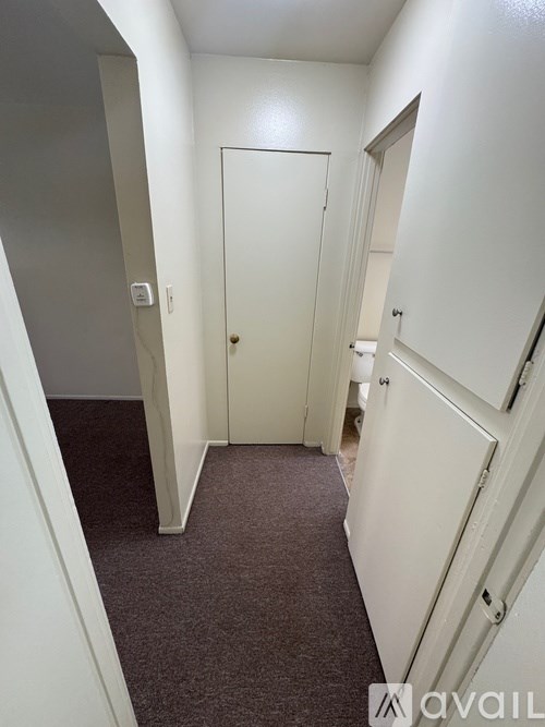 A hallway with a white door and a brown carpet.