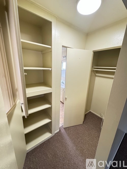A small, empty closet with a carpeted floor and a single light fixture on the ceiling.
