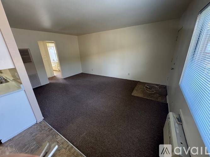 A room with a brown carpet and a white wall.