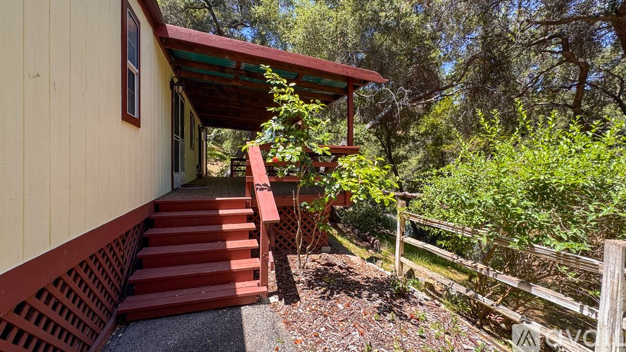 A forest scene with a path and sunlight filtering through the trees.